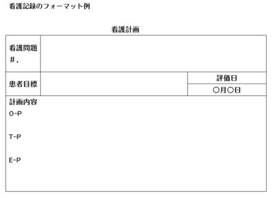 看護記録フォーマット例
