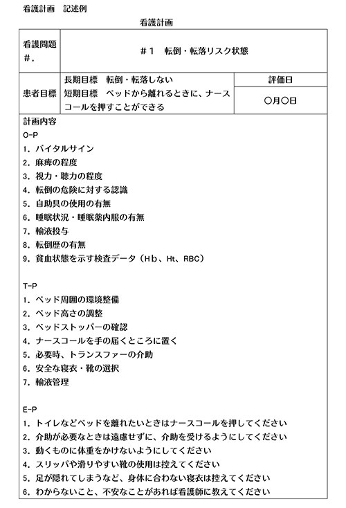 看護計画記述