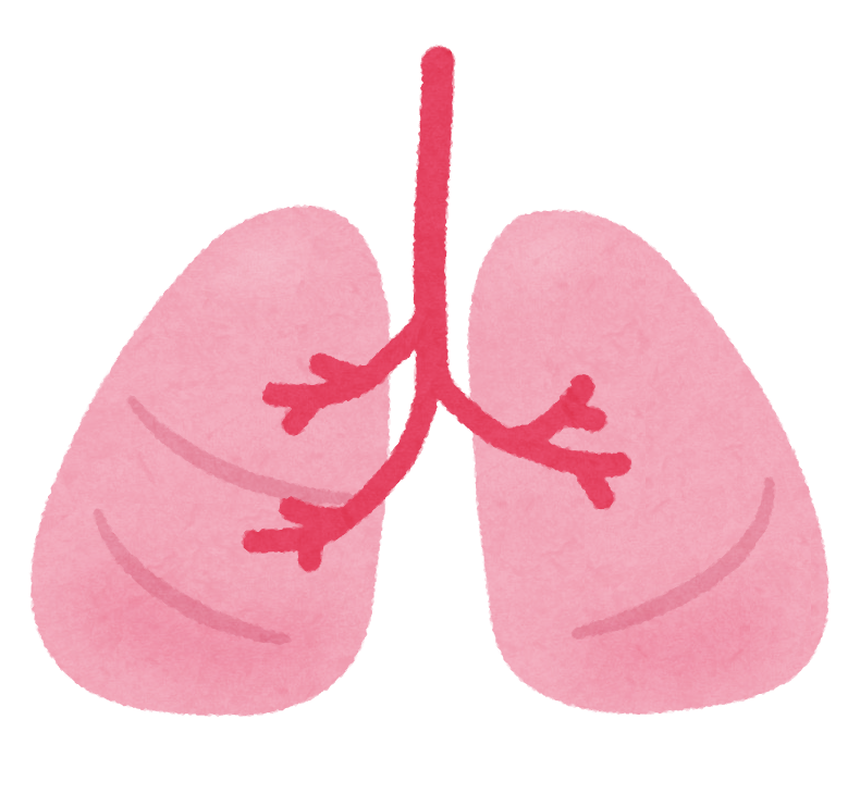 第22 回３学会合同呼吸療法認定 認定講習会及び認定試験のお知らせ ナース専科