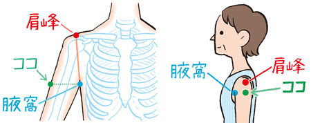 前後の腋窩ひだの上縁を結ぶ線と肩峰中央からの垂線の交点