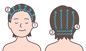 頭部を洗う順番