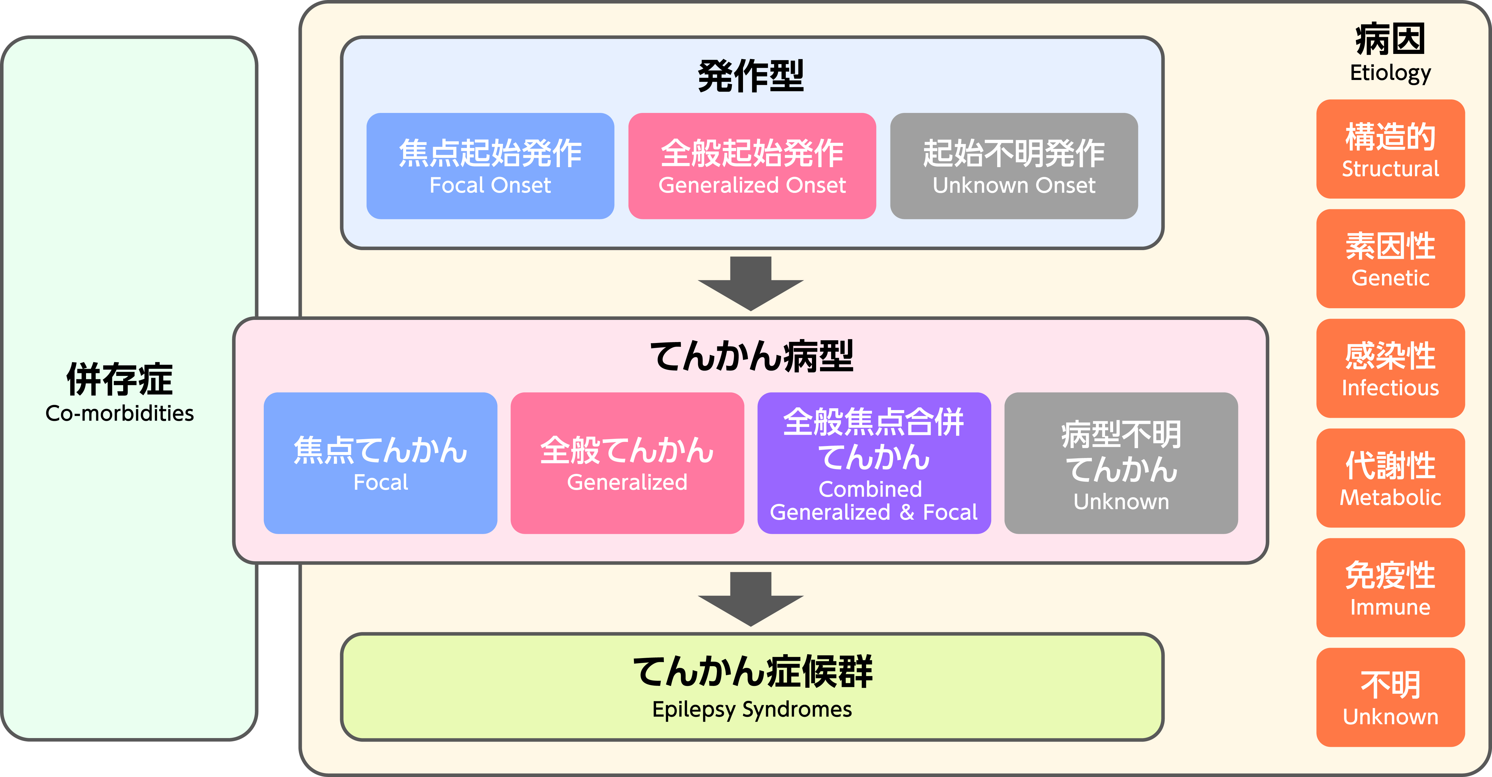 てんかんの分類