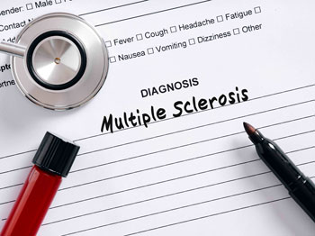 イメージカット