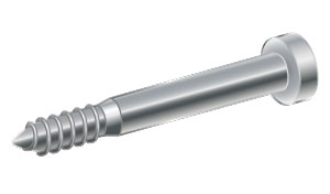 ラグスクリュー