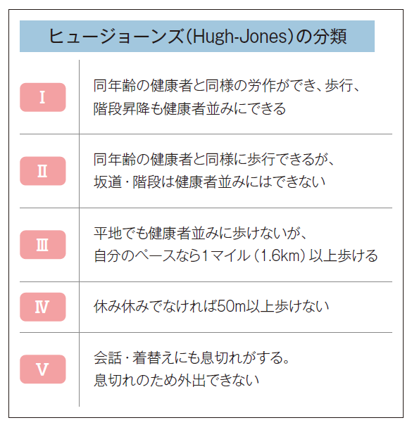 ヒュージョーンズ(Hugh-Jones)の分類